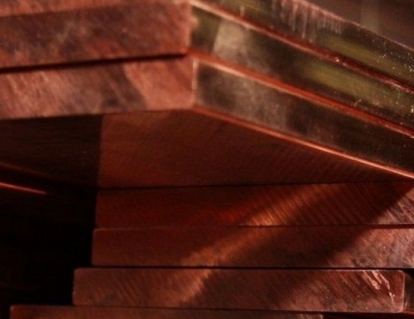 Плита медная х/к мягкая М2 25х450 мм ГОСТ 1173-2006 фото